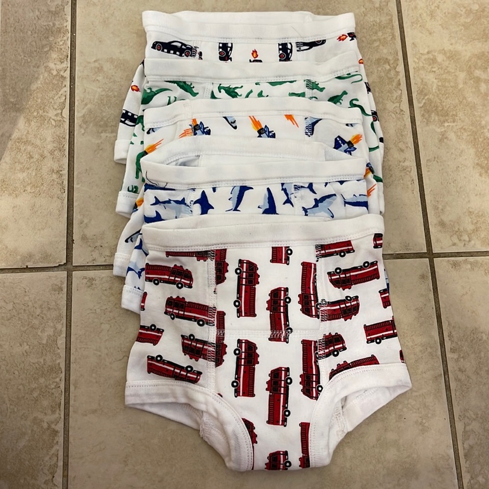 NWOT Hanna Andersson Training Underpants